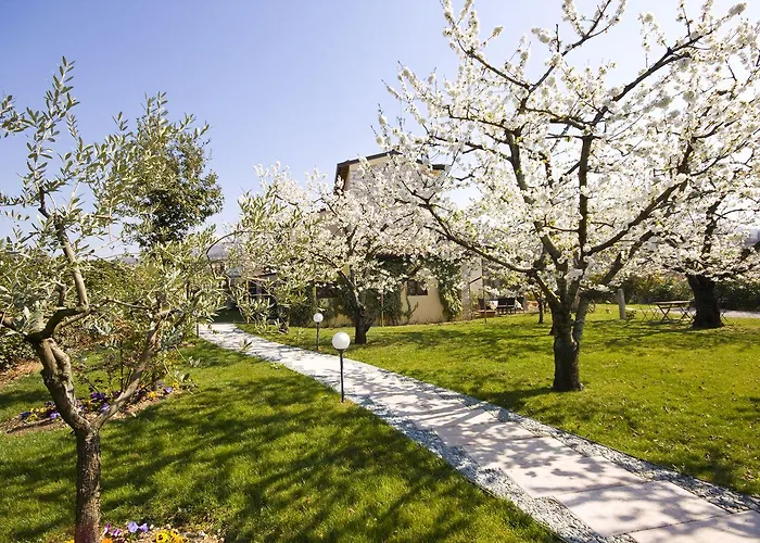 Ada Bed & Breakfast Negrar