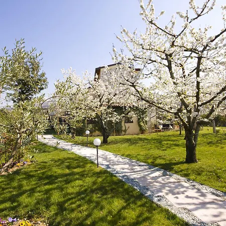 Ada B&B 네그라르